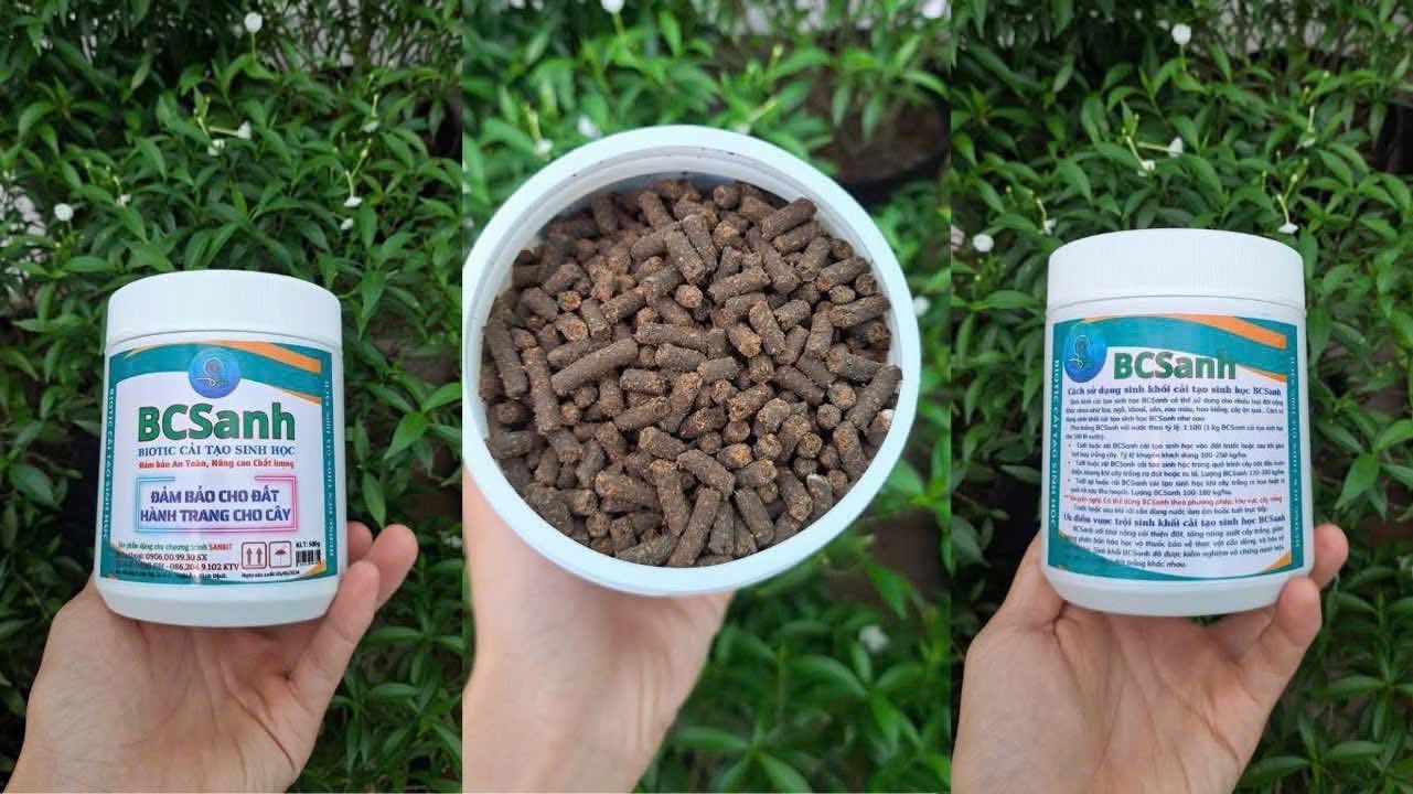 BCSanh trong quá trình sản xuất